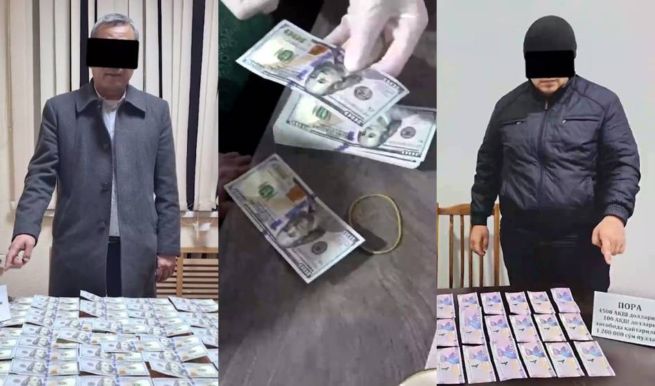 Тошкент вилоятида экология бўлими бошлиғи қамоққа олинди